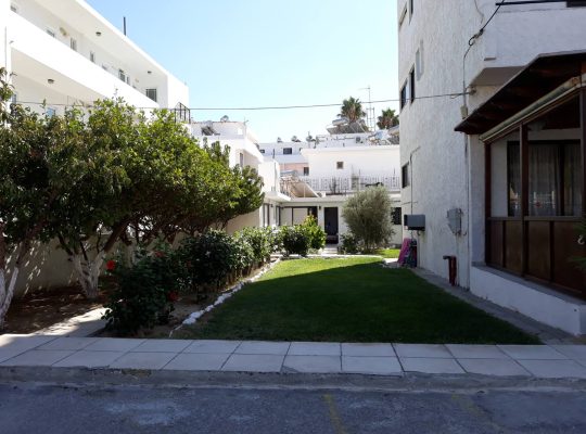 Photo-3