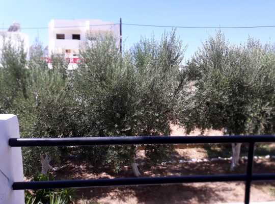 photo-5